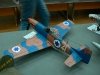 p1120130-medium.jpg