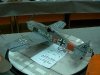 p1120139-medium.jpg