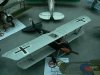 p1120143-medium.jpg