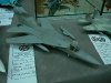 p1120210-medium.jpg