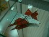 p1120212-medium.jpg