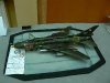 p1120268-medium.jpg