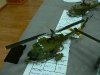 p1120312-medium.jpg